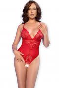 Body CR4870 rot