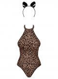 Leocatia Teddy